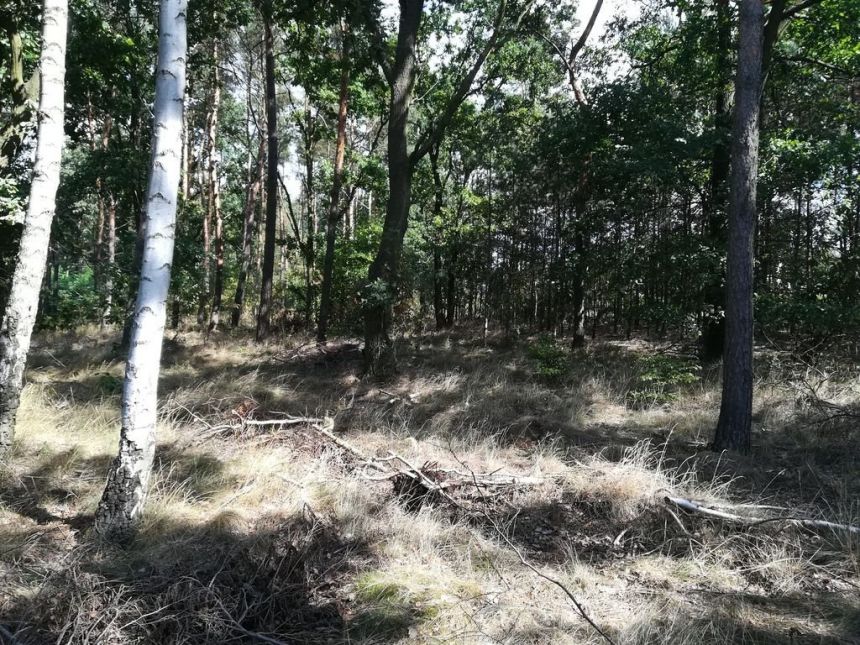Pucice, 430 760 zł, 19.58 ar, woda w drodze miniaturka 8