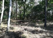 Pucice, 430 760 zł, 19.58 ar, woda w drodze miniaturka 8