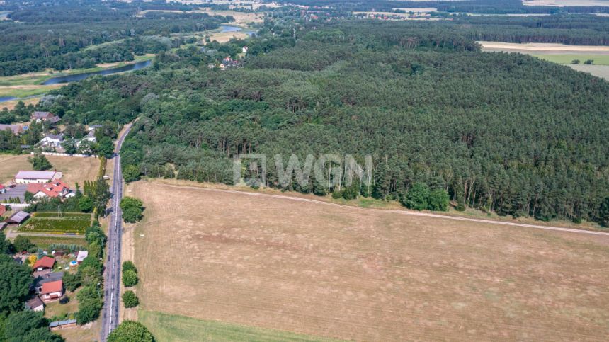 Radzewice, 829 000 zł, 94.3 ar, bez nasadzeń miniaturka 6