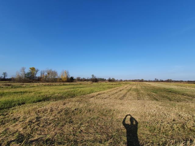 10 działek pod osiedle, wz na 10 domów miniaturka 5