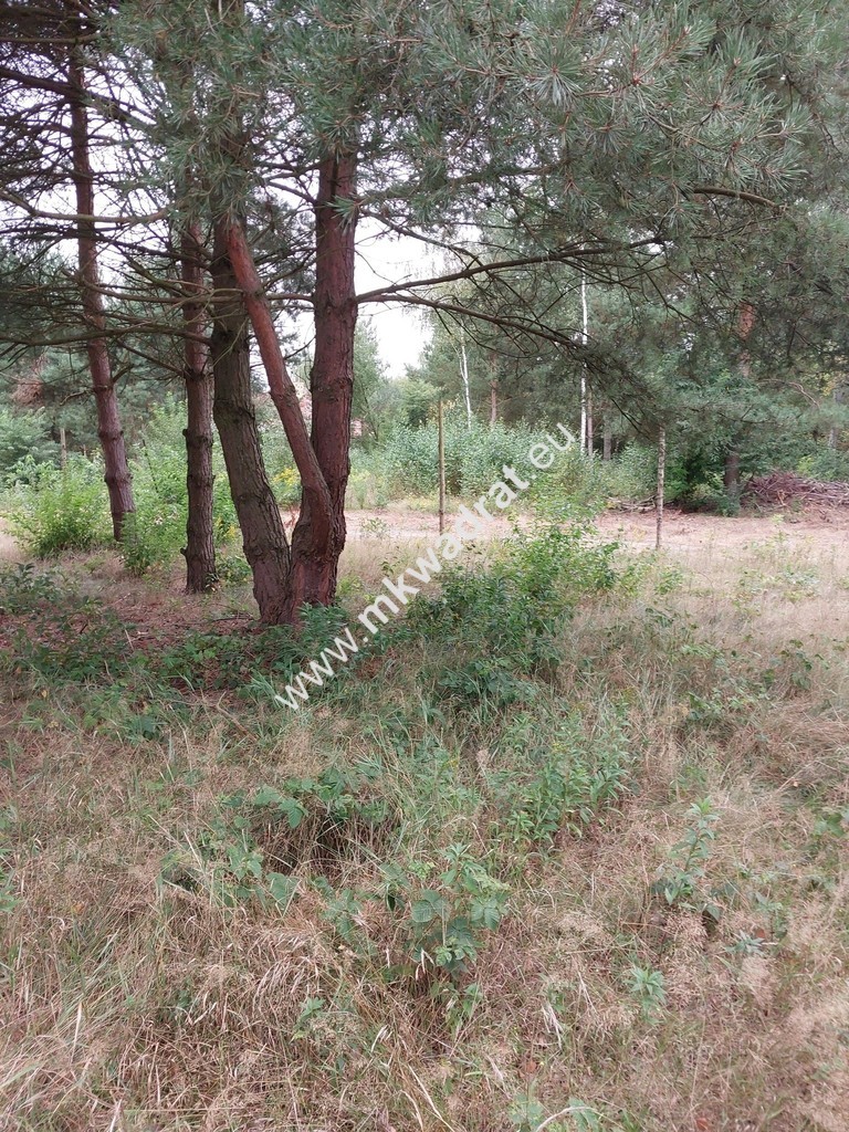Działka, cicha, MPZP, Osowiec miniaturka 6