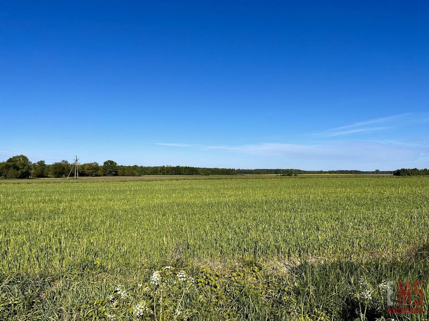 Malinniki, 210 000 zł, 4.3 ha, rolna miniaturka 2