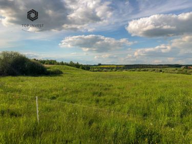 Dziśnity, 150 000 zł, 15 ar, budowlana