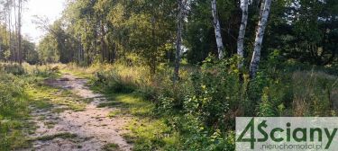 Czarny Las, piekna dzialka