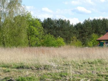 Szczecin Wielgowo Sławociesze działka sprzedaż