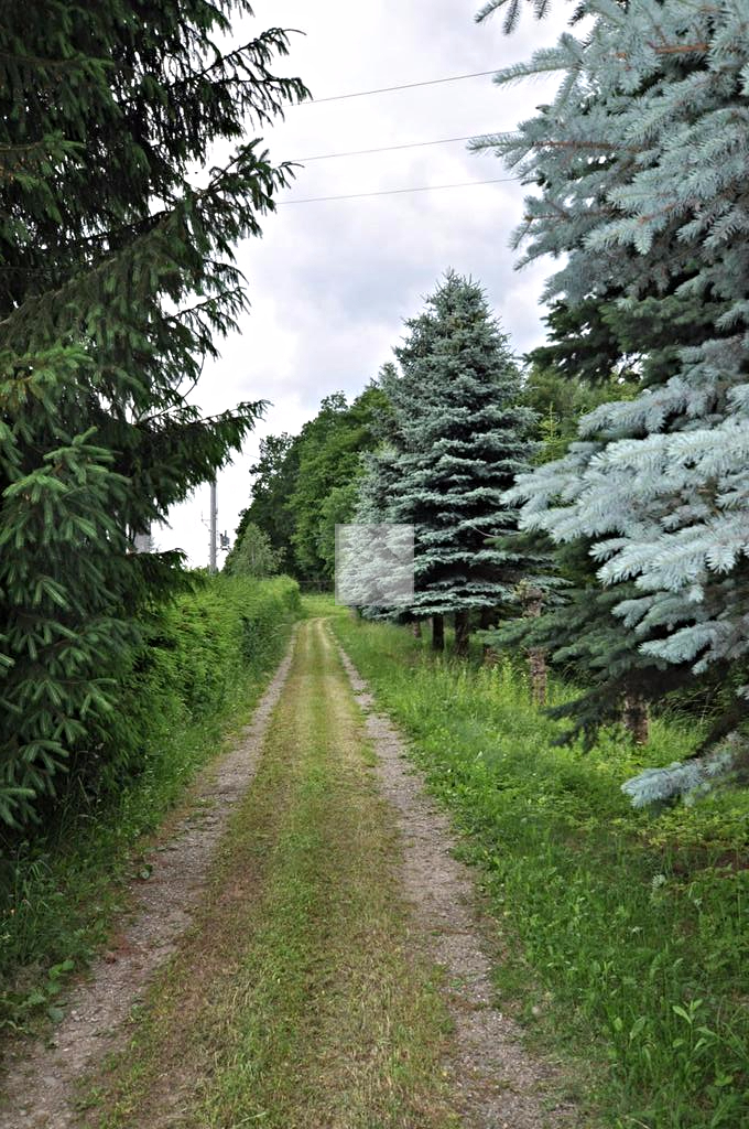 Olszany, 840 000 zł, 13.69 ha, o nieregularnym kształcie miniaturka 2