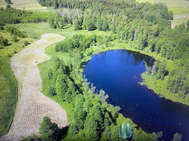 Malinka, 7 500 000 zł, 15.37 ha, droga dojazdowa utwardzona miniaturka 20