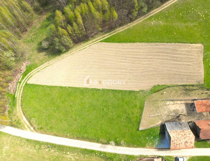 Działka z potencjałem w spokojnej okolicy  - Barcice Górne, ul. Kliny miniaturka 10