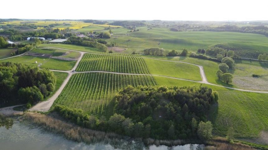 Działki nad jeziorem okolice Ełku miniaturka 6