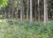 Boguszów-Gorce, 550 000 zł, 8 ha, o zróżnicowanym ukształtowaniu terenu miniaturka 9