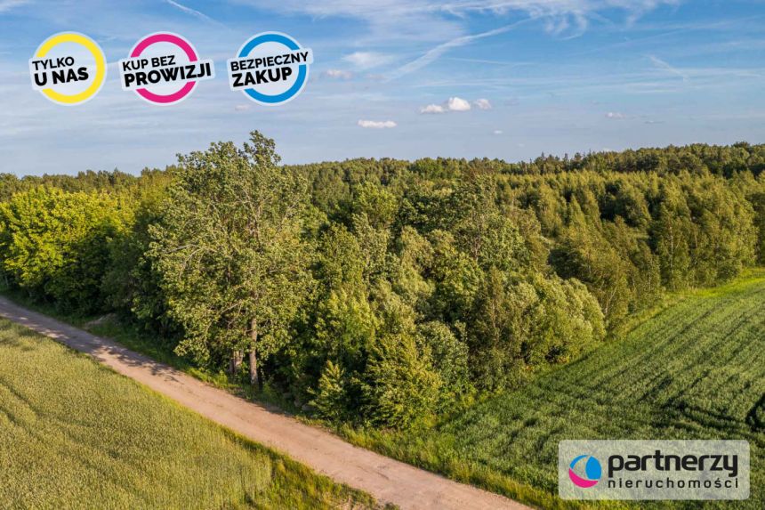 Nowy Wiec, 250 000 zł, 2.29 ha, przyłącze prądu miniaturka 10