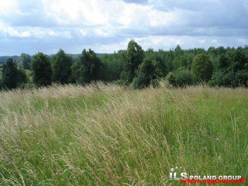 Małobór, 950 000 zł, 15.08 ha, budowlana miniaturka 14