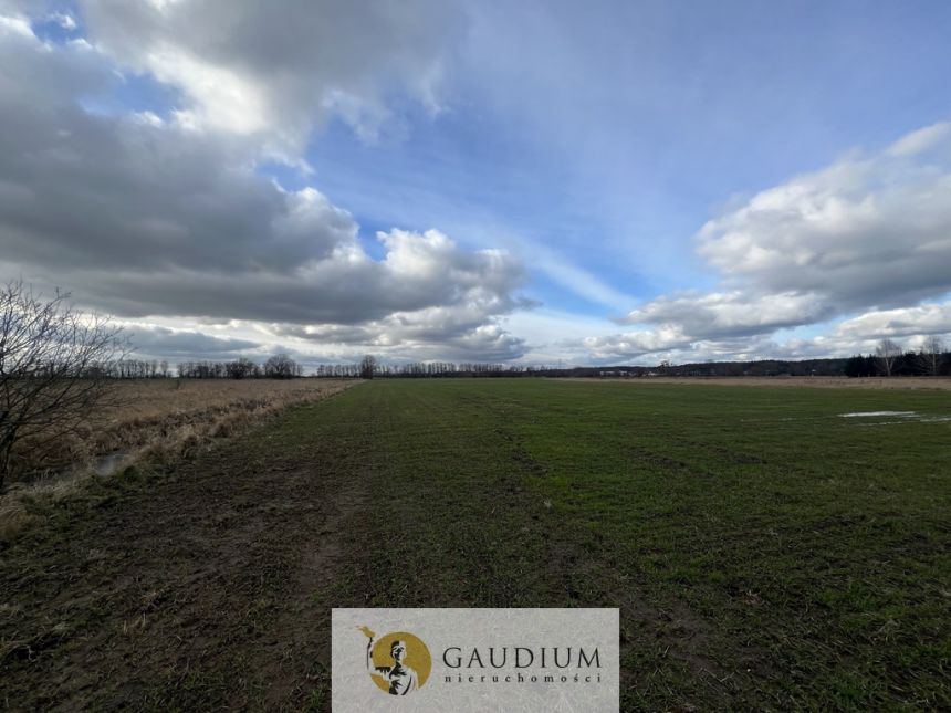 Działka 4600 m2 Sobieszewo ul. Uzdrowiskowa miniaturka 5