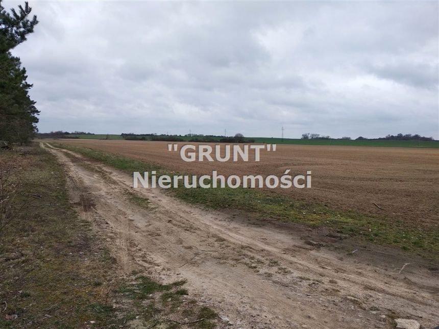 Kotuń, 2 500 000 zł, 15 ha, rolna miniaturka 3