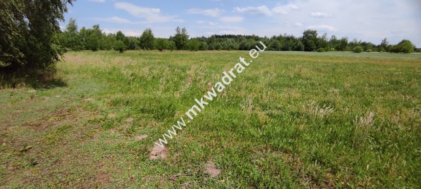 Wyjątkowa Działka rolna do podziału na budowlane! miniaturka 7