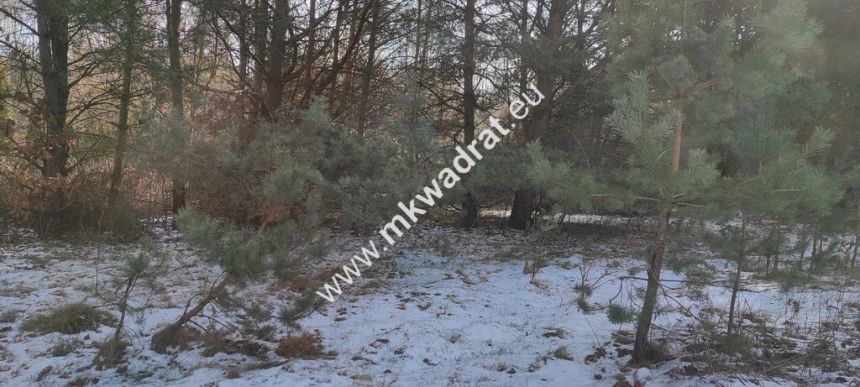 Ładna zalesiona działka z MPZP w Ojrzanowie miniaturka 2