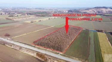 DZIAŁKA LEŚNA 1,37 ha - na sprzedaż