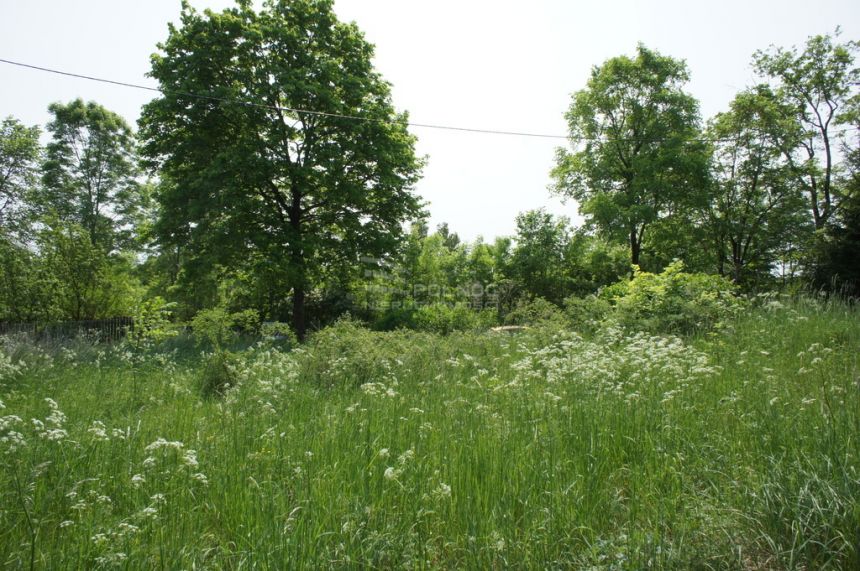 Urocza działka, jezioro Zdedy Mazury k/Ełku miniaturka 8