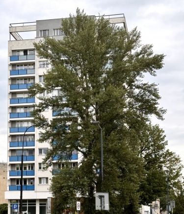 Warszawa Grochów, 550 000 zł, 38.37 m2, 2 pokojowe
