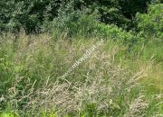 Działka 900m ŻÓŁWIN z MPZP miniaturka 5