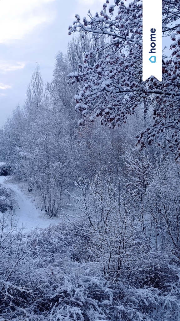 Dwupokojowe mieszkanie w Sosnowcu w dobrej cenie miniaturka 10