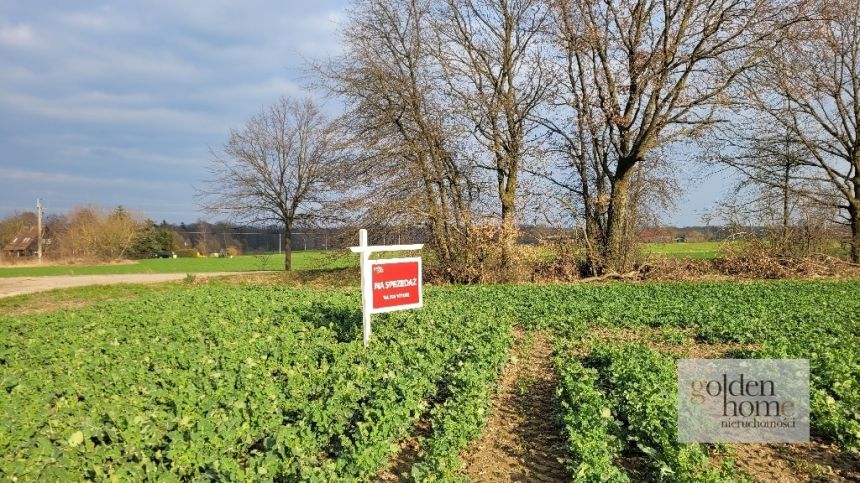 Grzebienisko, 298 000 zł, 25.92 ar, przyłącze prądu miniaturka 2