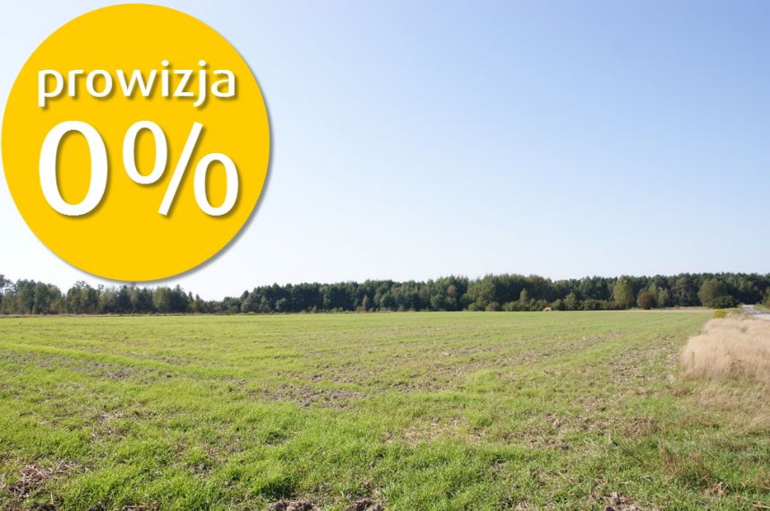 Duża działka nad jeziorem Krasne pod inwestycję miniaturka 4
