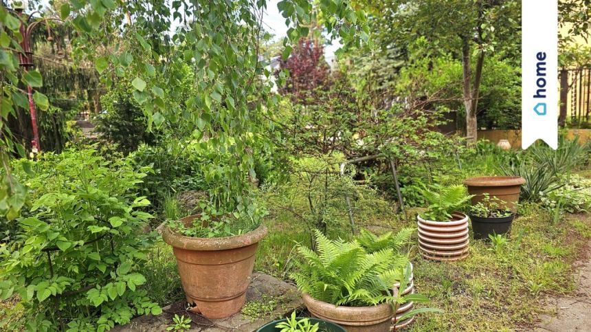 Michelin - działka budowlana zabudowana halami miniaturka 6