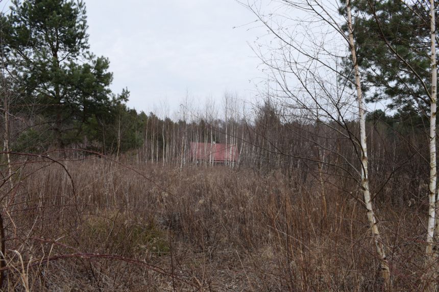 Działki pod budownictwo 13,87a - Wysoka Głogowska miniaturka 9