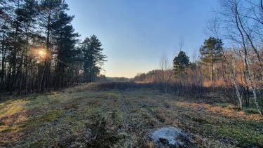 piękna otulona lasem z warunkami zabudowy