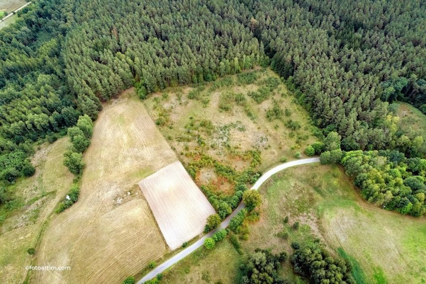 Mazury - malownicza działka w otulinie lasu miniaturka 4