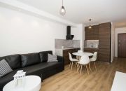 Posiadamy do wynajęcia atrakcyjny apartament zloka miniaturka 15