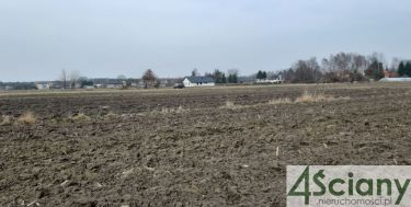 1000 m2 w Zaborówku