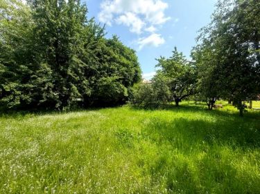 na wynajem działka rekreacyjna o pow. 800 m2