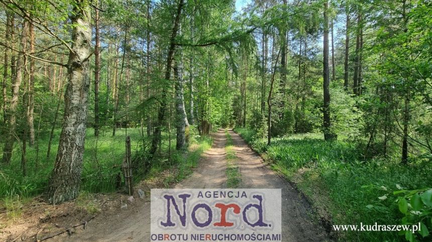 DZIAŁKA W POBLIŻU JEZIORA SAJENEK, AUGUSTÓW - zdjęcie 1