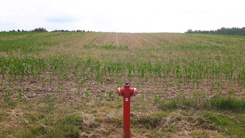 Cielętniki, 1 850 000 zł, 6.8 ha, rolno-budowlana miniaturka 5