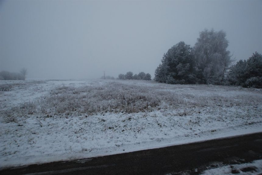 Działka 10082 m2 Bolmin gmina Chęciny - zdjęcie 1