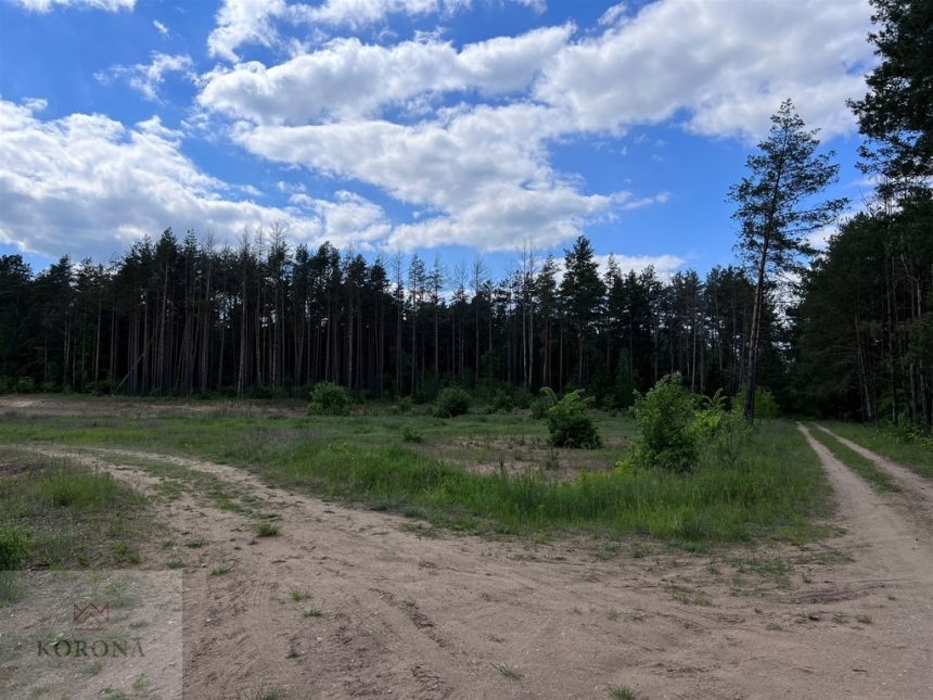 Śliczna działka nad Zalewem Siemianówka 2,31ha miniaturka 4