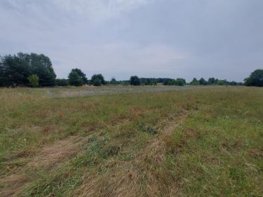 Ożarowice, 200 880 zł, 14.88 ar, przyłącze wodociągu