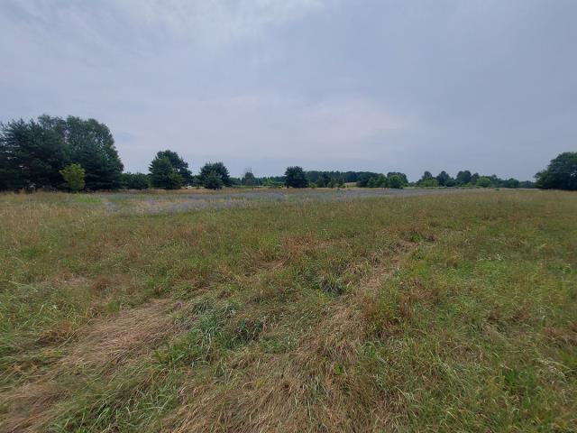 Ożarowice, 200 880 zł, 14.88 ar, przyłącze wodociągu - zdjęcie 1
