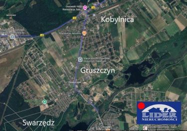 Obiekt  na sprzedaż, Gruszczyn, 700.00 m2