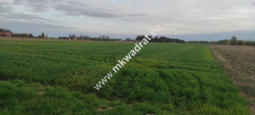 3416m2 Pasikonie k/Kampinosu z warunkami zabudowy! miniaturka 8
