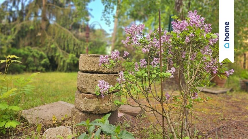 Michelin - działka budowlana zabudowana halami miniaturka 5