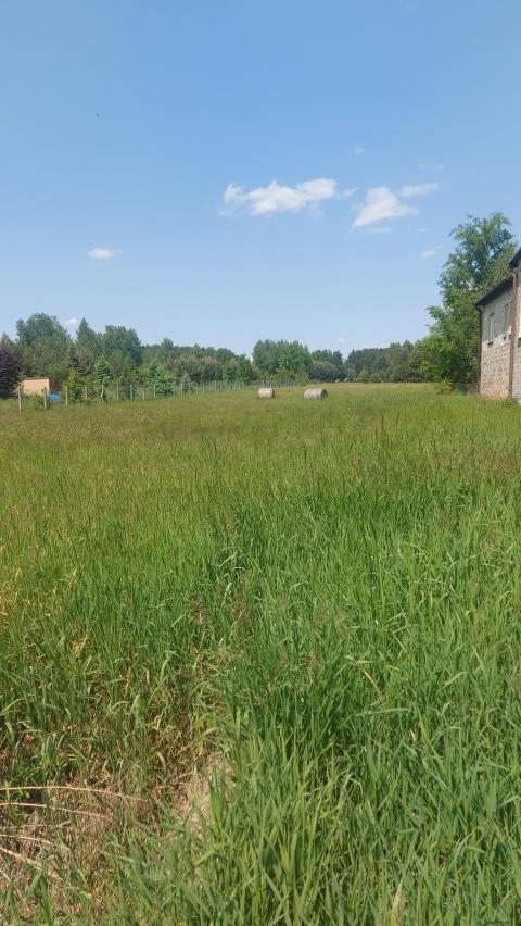 Ożarowice, 180 000 zł, 15 ar, droga dojazdowa asfaltowa miniaturka 3