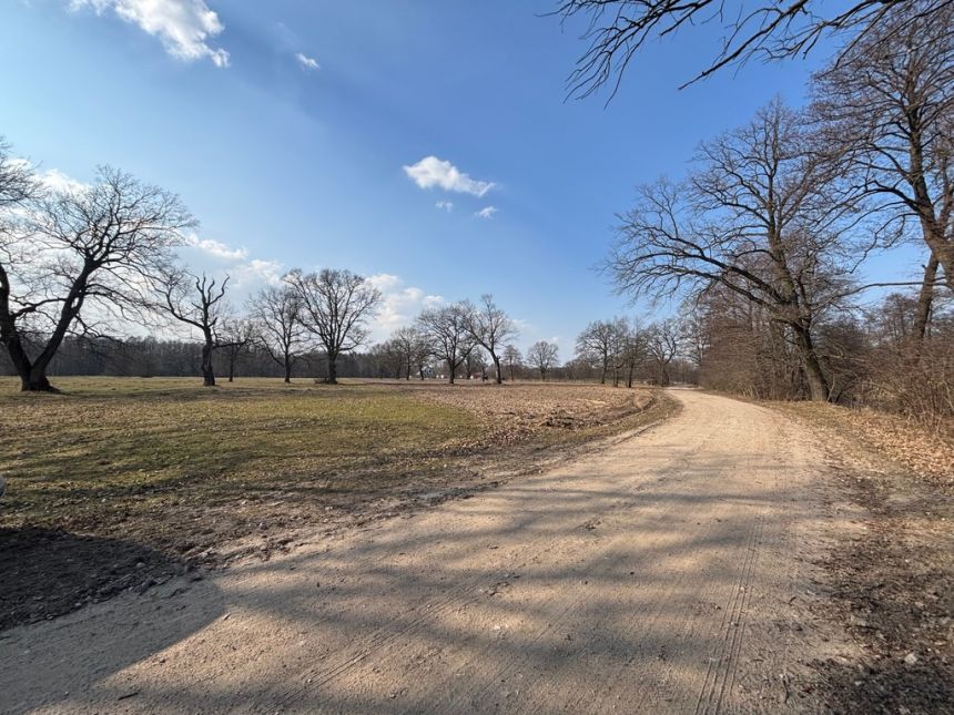 Działka 7500 M2 30 km od Warszawy, rzeka, las miniaturka 2