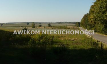 Przewodowice, 145 098 zł, 80.61 ar, rolna