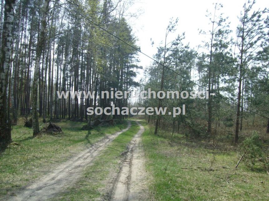 Las w Puszczy Bolimowskiej na sprzedaż - zdjęcie 1