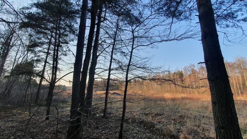 piękna otulona lasem z warunkami zabudowy miniaturka 2