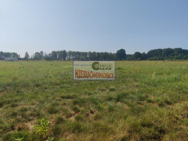 Nowa Pogorzel, 160 000 zł, 16 ar, budowlana miniaturka 3