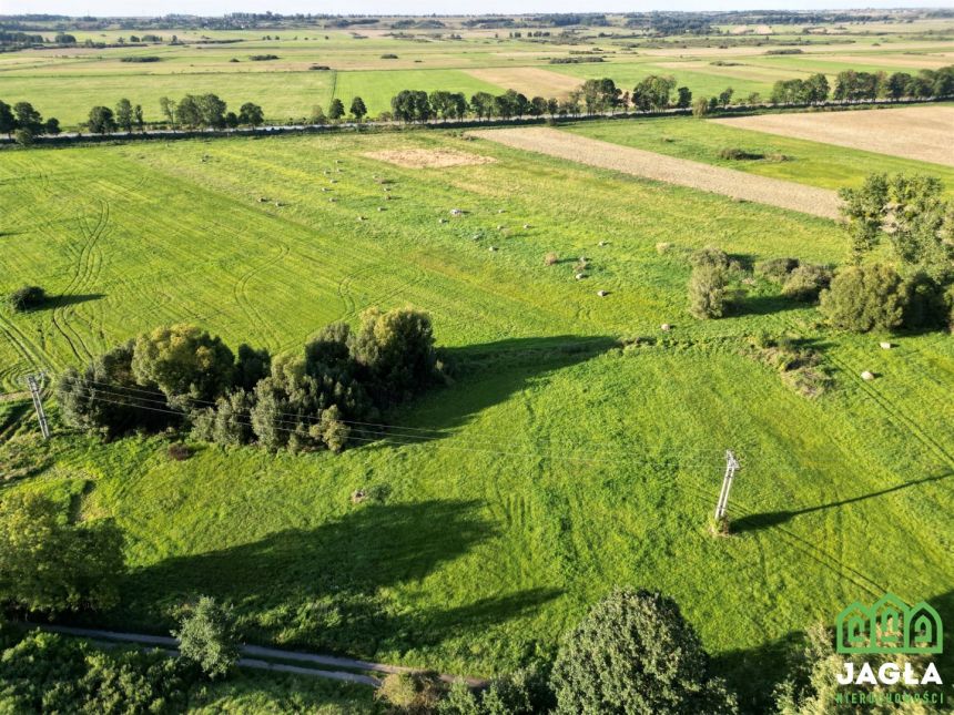 Działka w Występie w otoczeniu natury blisko drogi miniaturka 14